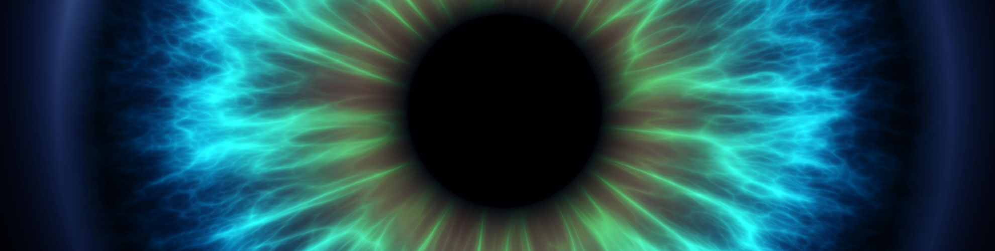 how the eye works