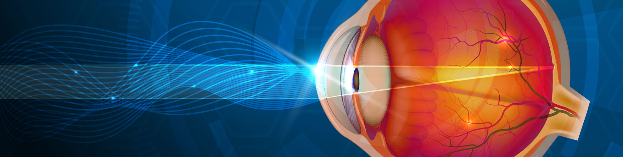 interactive eye